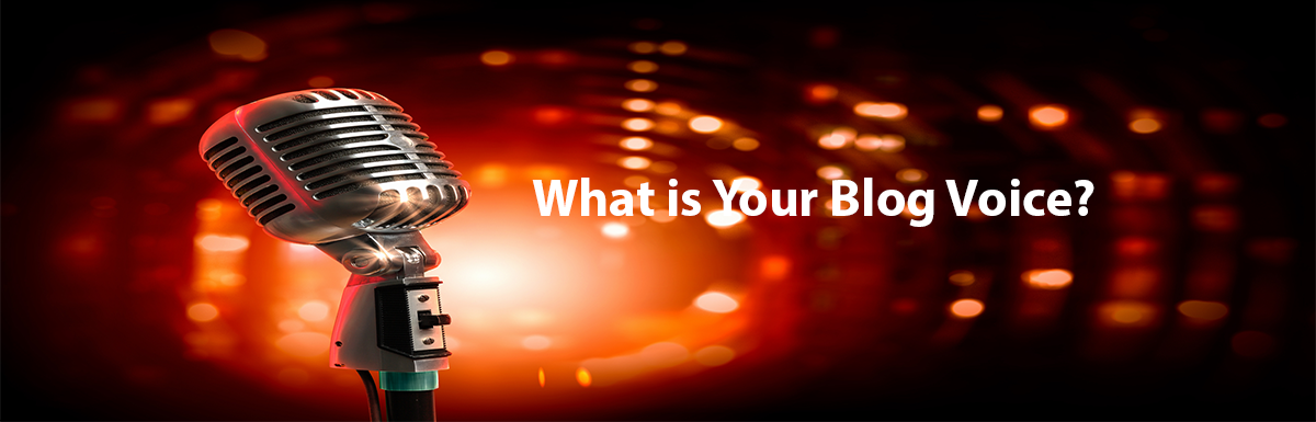What is your Blog Voice
