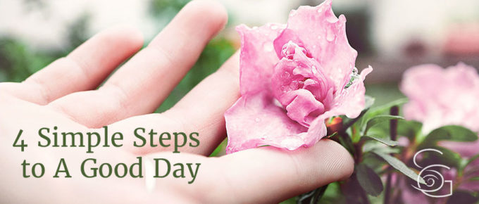 closeup hand touching pink rose 4 Simple Steps to A Good Day